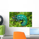 Chameleon the Asleep Wall Decal