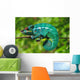 Chameleon the Asleep Wall Decal