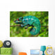 Chameleon the Asleep Wall Decal