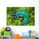 Chameleon the Asleep Wall Decal