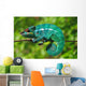 Chameleon the Asleep Wall Decal