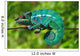 Chameleon the Asleep Wall Decal