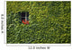 Ivy Window Wall Decal