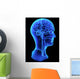 Head anatomy Wall Decal