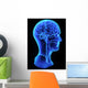 Head anatomy Wall Decal