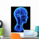Head anatomy Wall Decal