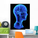 Head anatomy Wall Decal