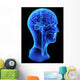 Head anatomy Wall Decal