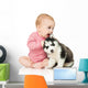Little girl playing with a puppy husky, isolated on white Wall Decal