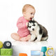 Little girl playing with a puppy husky, isolated on white Wall Decal