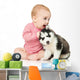 Little girl playing with a puppy husky, isolated on white Wall Decal