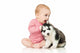 Little girl playing with a puppy husky, isolated on white Wall Decal