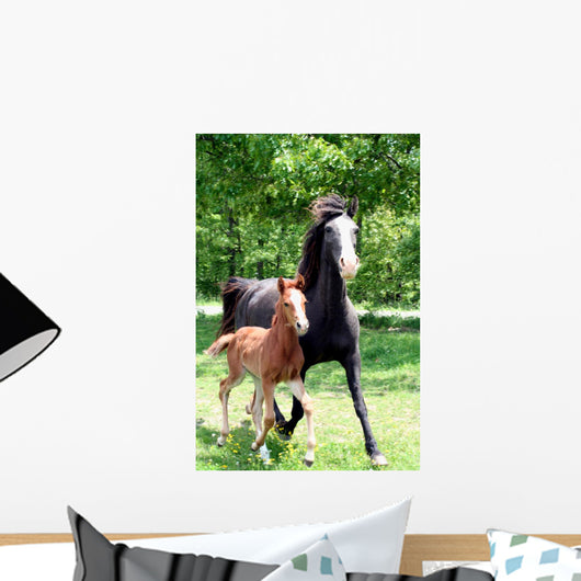Curly Mare and Foal Wall Decal