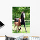 Curly Mare and Foal Wall Decal