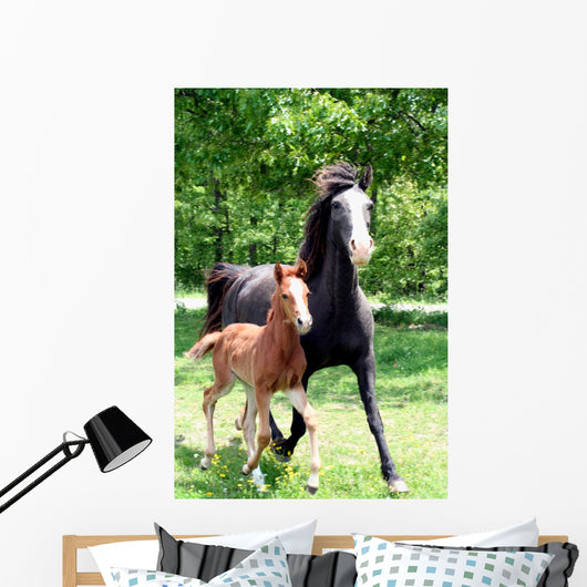 Curly Mare and Foal Wall Decal