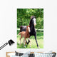Curly Mare and Foal Wall Decal