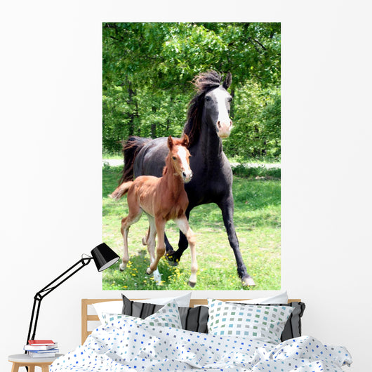 Curly Mare and Foal Wall Decal