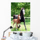 Curly Mare and Foal Wall Decal