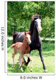Curly Mare and Foal Wall Decal