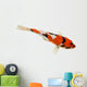 Koi Fish White Wall Decal