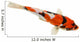 Koi Fish White Wall Decal