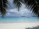 Anse Lazio 2 Wall Decal