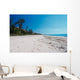 long florida beach Wall Decal