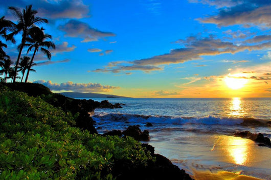 Tropical Beach Sunset