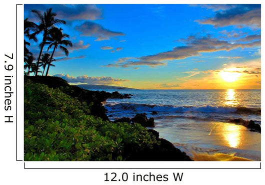 Tropical Beach Sunset Wall Decal