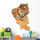 Delicate Tiger Wall Decal
