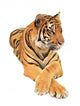 Delicate Tiger Wall Decal