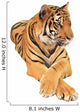 Delicate Tiger Wall Decal