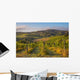 Grapes and Vines near Tuscan Village Wall Decal