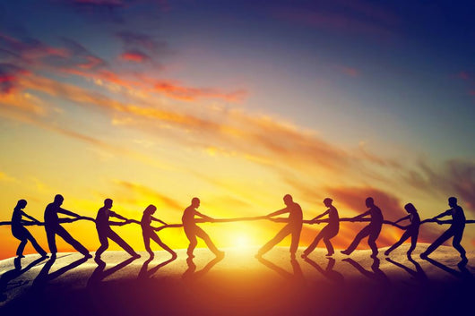 tug of war Wall Decal
