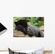 Black Jaguar Wall Decal