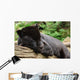 Black Jaguar Wall Decal
