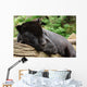 Black Jaguar Wall Decal