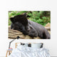 Black Jaguar Wall Decal