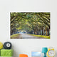 Oak Trees in Savannah Wall Decal