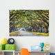 Oak Trees in Savannah Wall Decal