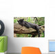 Black Jaguar Panther Wall Decal