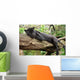 Black Jaguar Panther Wall Decal