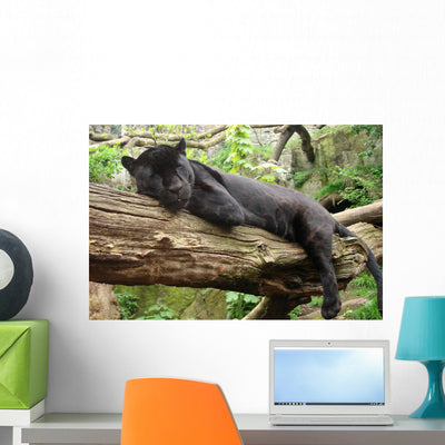 Black Jaguar Panther Wall Decal shown on a wall