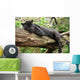 Black Jaguar Panther Wall Decal