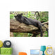 Black Jaguar Panther Wall Decal