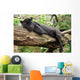 Black Jaguar Panther Wall Decal