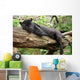 Black Jaguar Panther Wall Decal