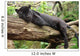 Black Jaguar Panther Wall Decal