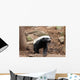 Honey Badger Wall Decal