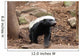 Honey Badger Wall Decal